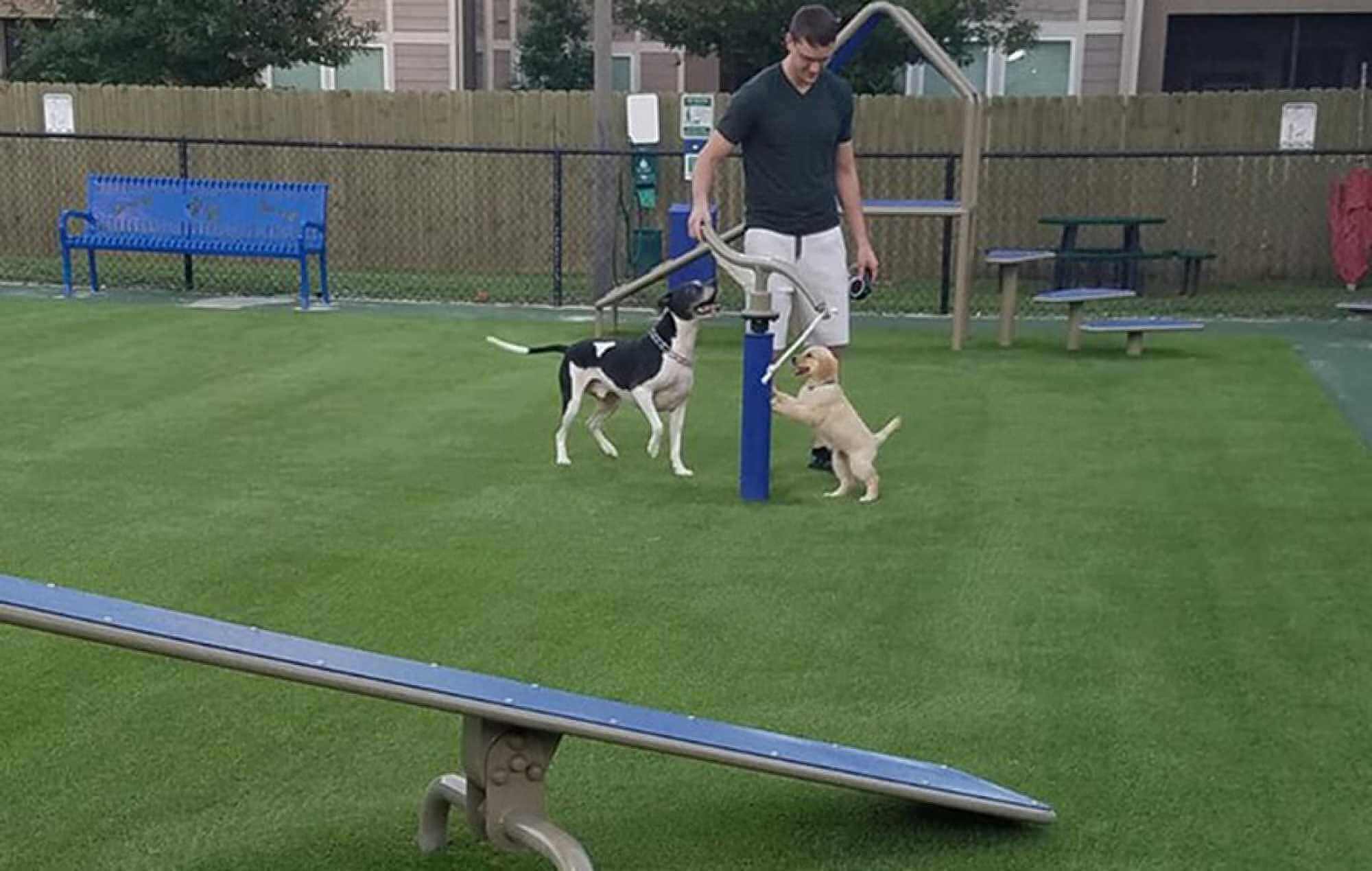 Pet Friendly Artificial Lawn Design in Celina, TX